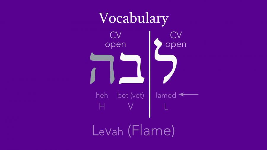 slide-levah-with-heh.png slide-levah-with-heh.png
